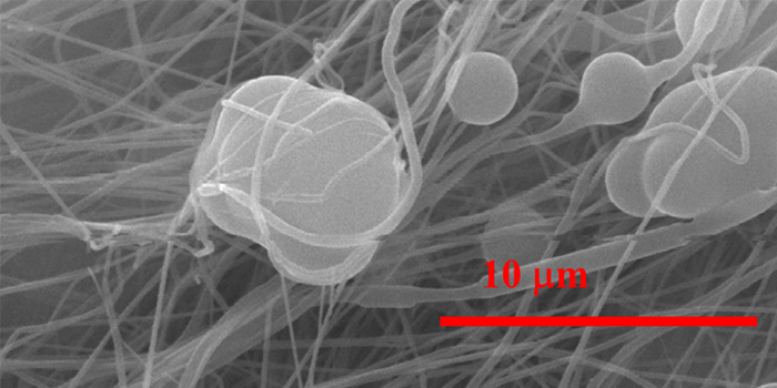 Photo: DTU Fødevareinstituttet / surface immobilization of functional microparticles on nanofibers