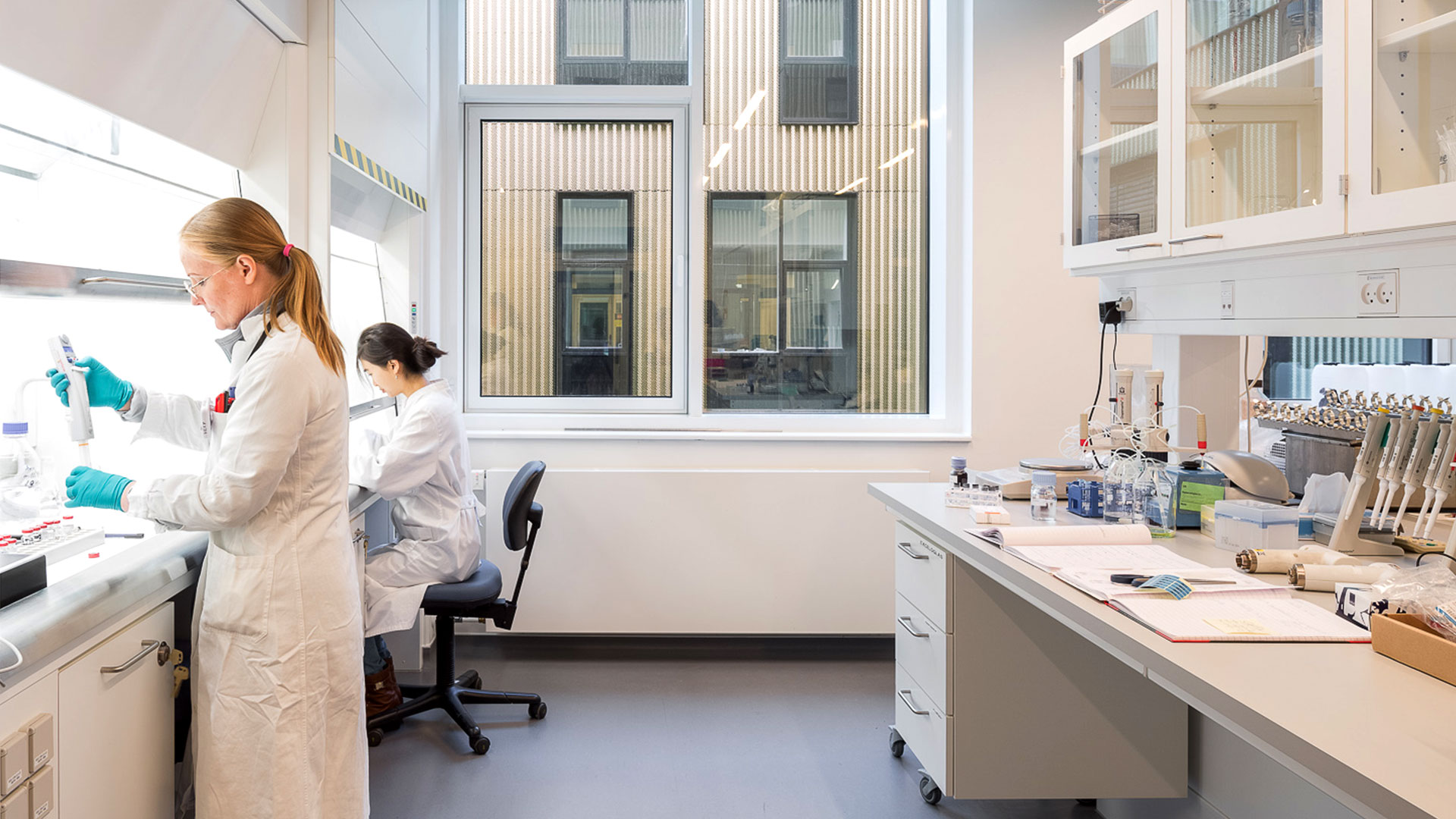 Forskere i laboratorie på DTU Fødevareinstituttet