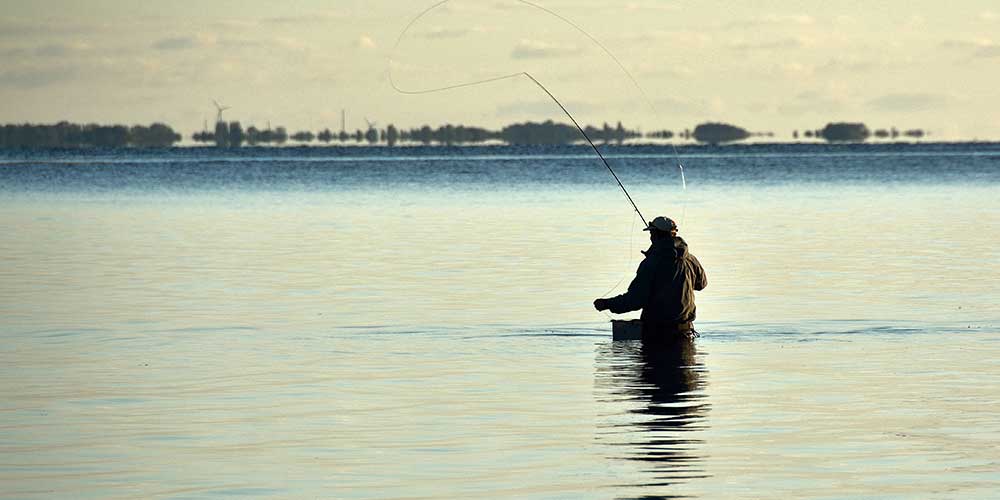 Angler at coast. Photo: Colourbox