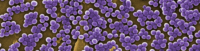 MRSA