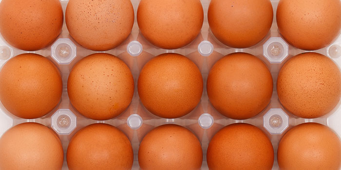 DK: Æg i bakke. Foto: Colourbox.dk | UK: Eggs in carton. Photo: Colourbox.dk