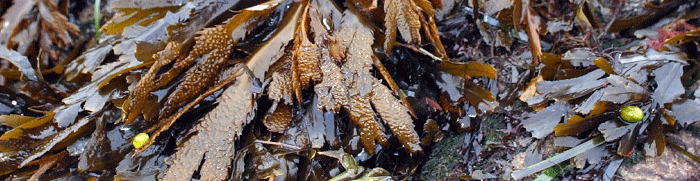 Photo: Colourbox.com