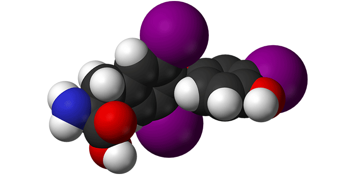 Thyroid hormon molekyle