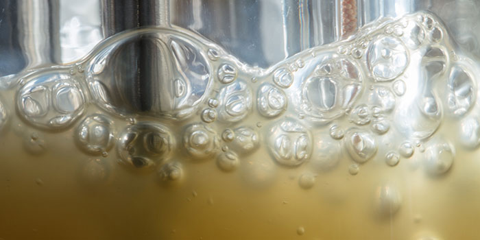 Fermentor / Foto: Mikal Schlosser