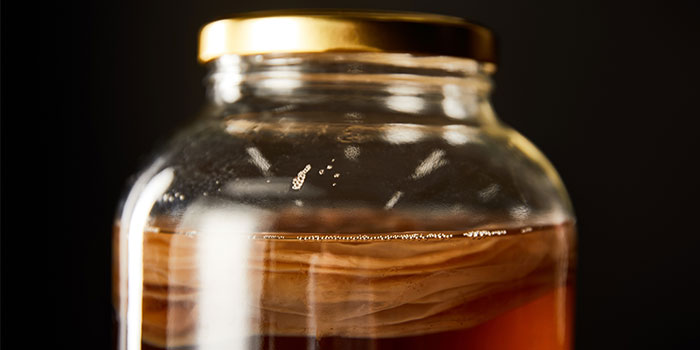 Kombucha. Foto: Colourbox.dk