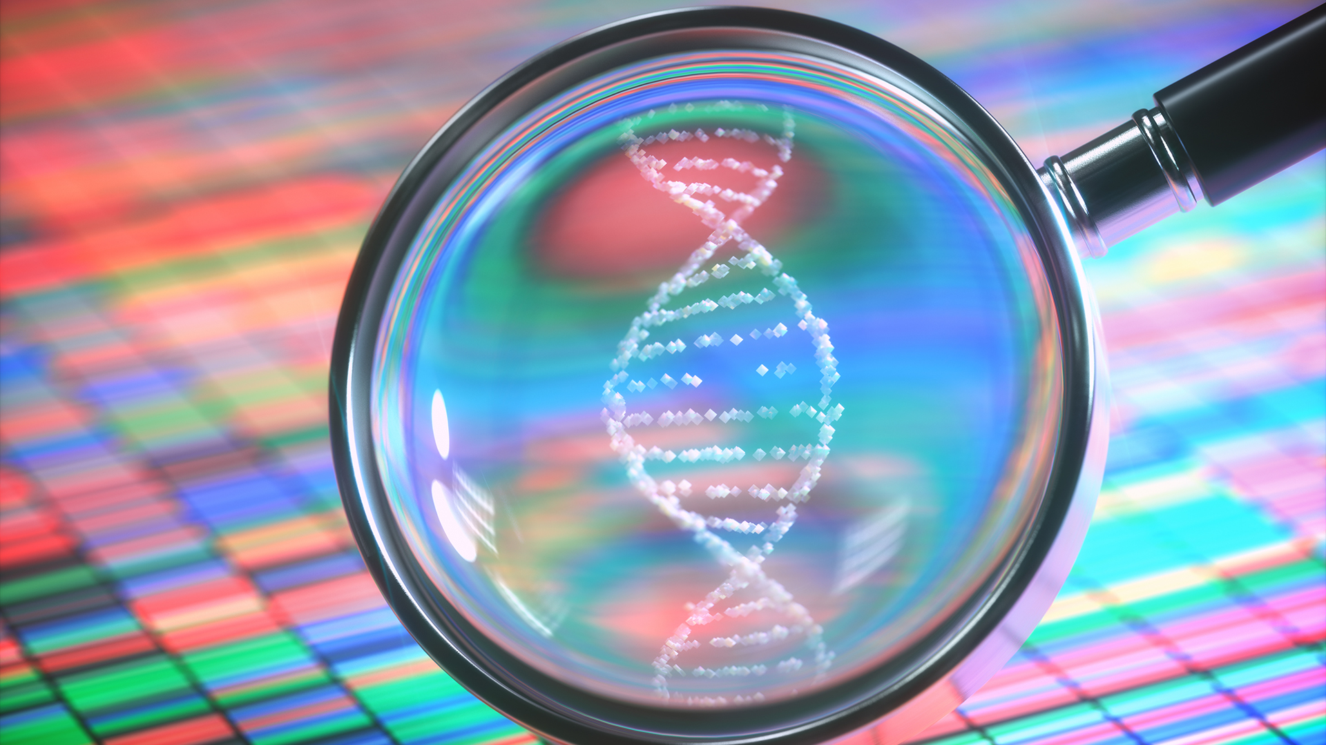 Fotoillustration af lup, der ses over DNA-farvekoder og DNA-streng
