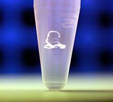 DK: DNA. Foto: DTU Fødevareinstituttet | EN: DNA. Photo: National Food Institute, Technical University of Denmark