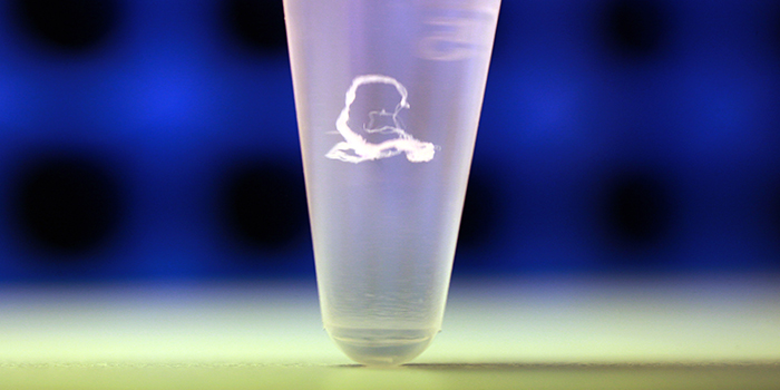 DK: DNA. Foto: DTU Fødevareinstituttet | EN: DNA. Photo: National Food Institute, Technical University of Denmark
