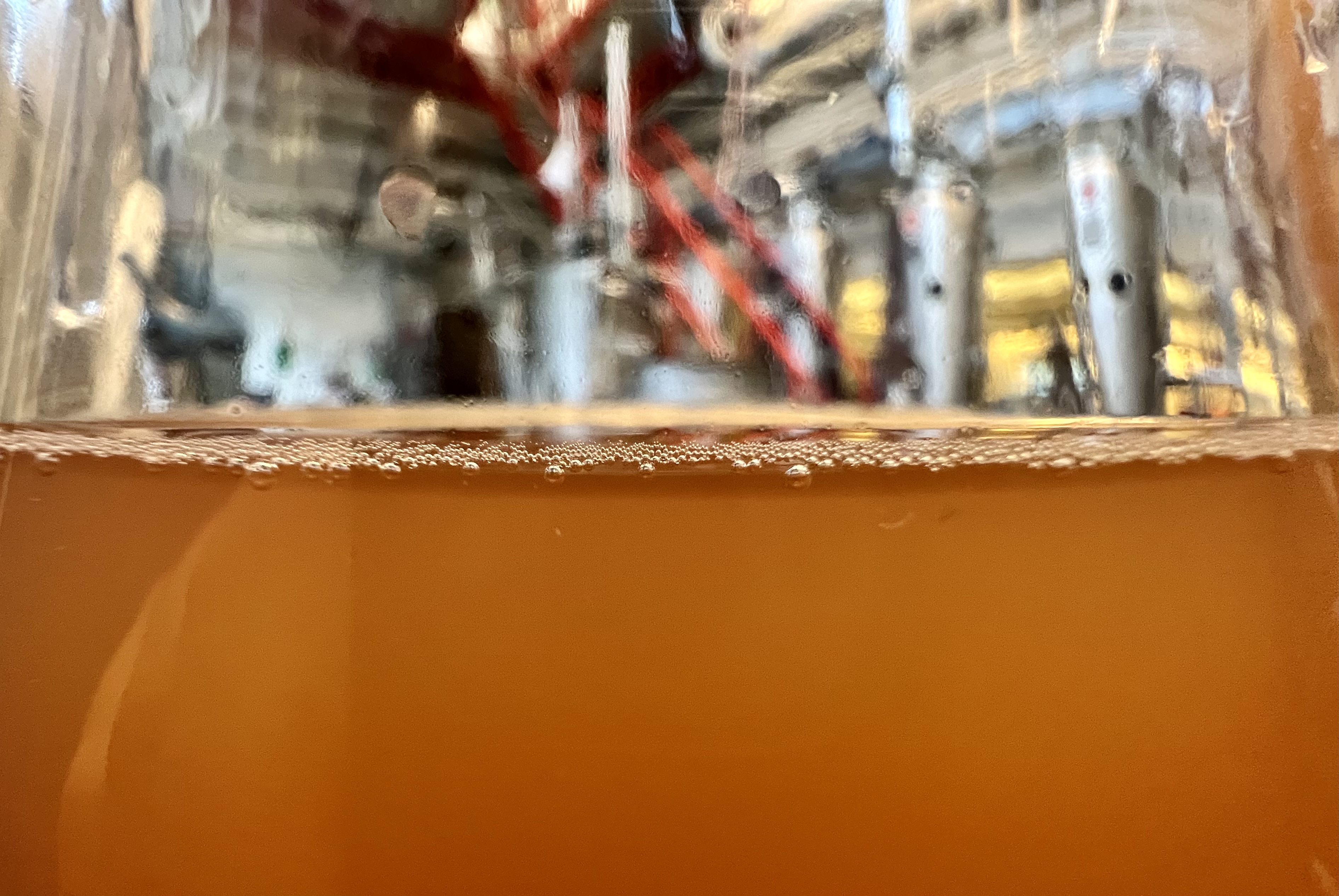 Fermenteret drik. Foto: DTU Fødevareinstituttet | Fermented beverage. Photo: DTU National Food Institute