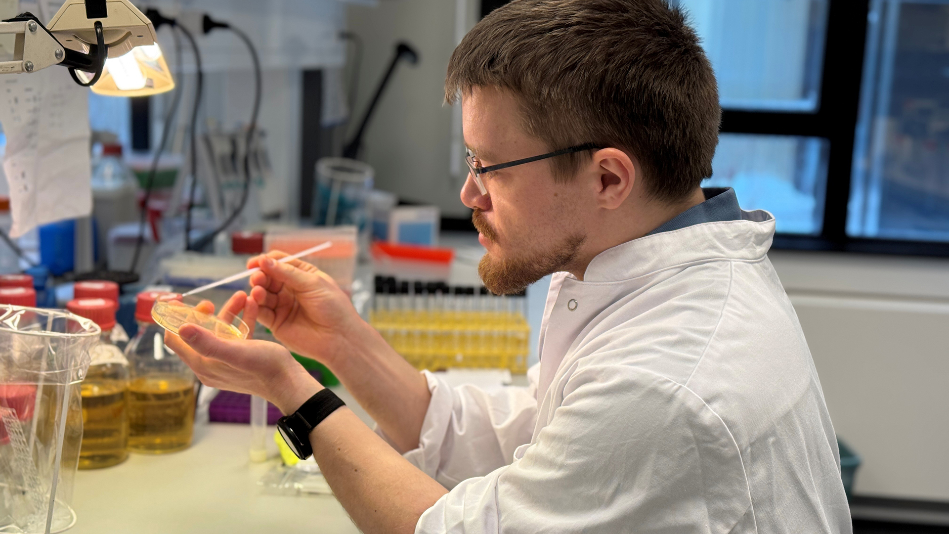Mikkel Anbo i laboratoriet på DTU Fødevareinstituttet