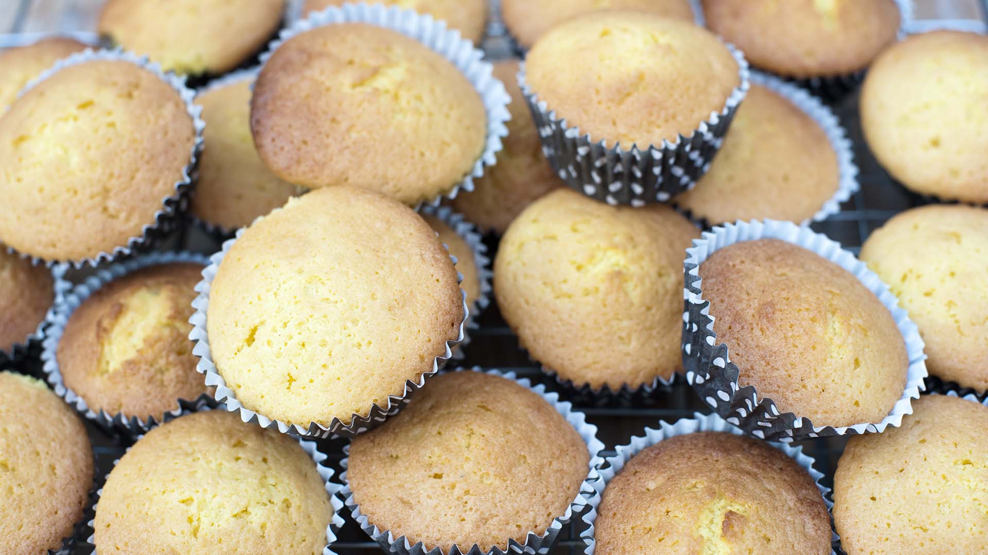 DK: Muffins. Foto: Colourbox | EN: Muffins. Photo: Colourbox