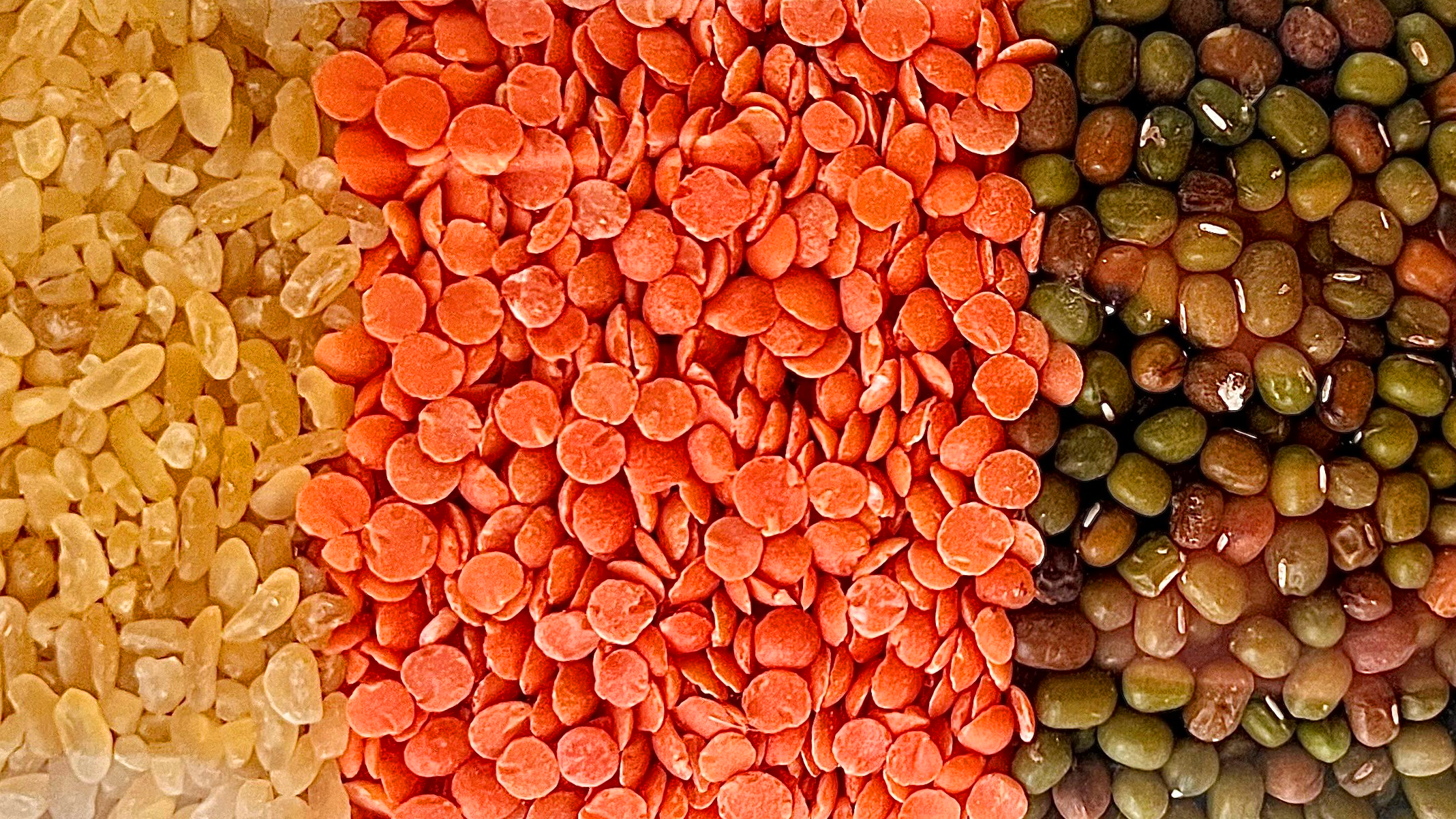 DK: Ris, linser, bønner. Foto: DTU Fødevareinstituttet | EN: Rice, lentils and beans. Photo: DTU National Food Institute