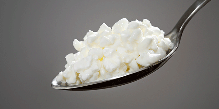 Predicting The Shelf Life Of Cottage Cheese National Food Institute