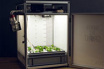 GrowBot - robotiseret mini-drivhus. Foto: Daniel Vorting
