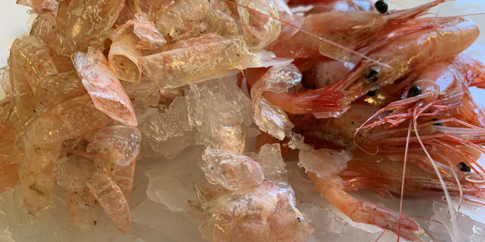 Turning shrimp side streams into an income - DTU National Food Institute