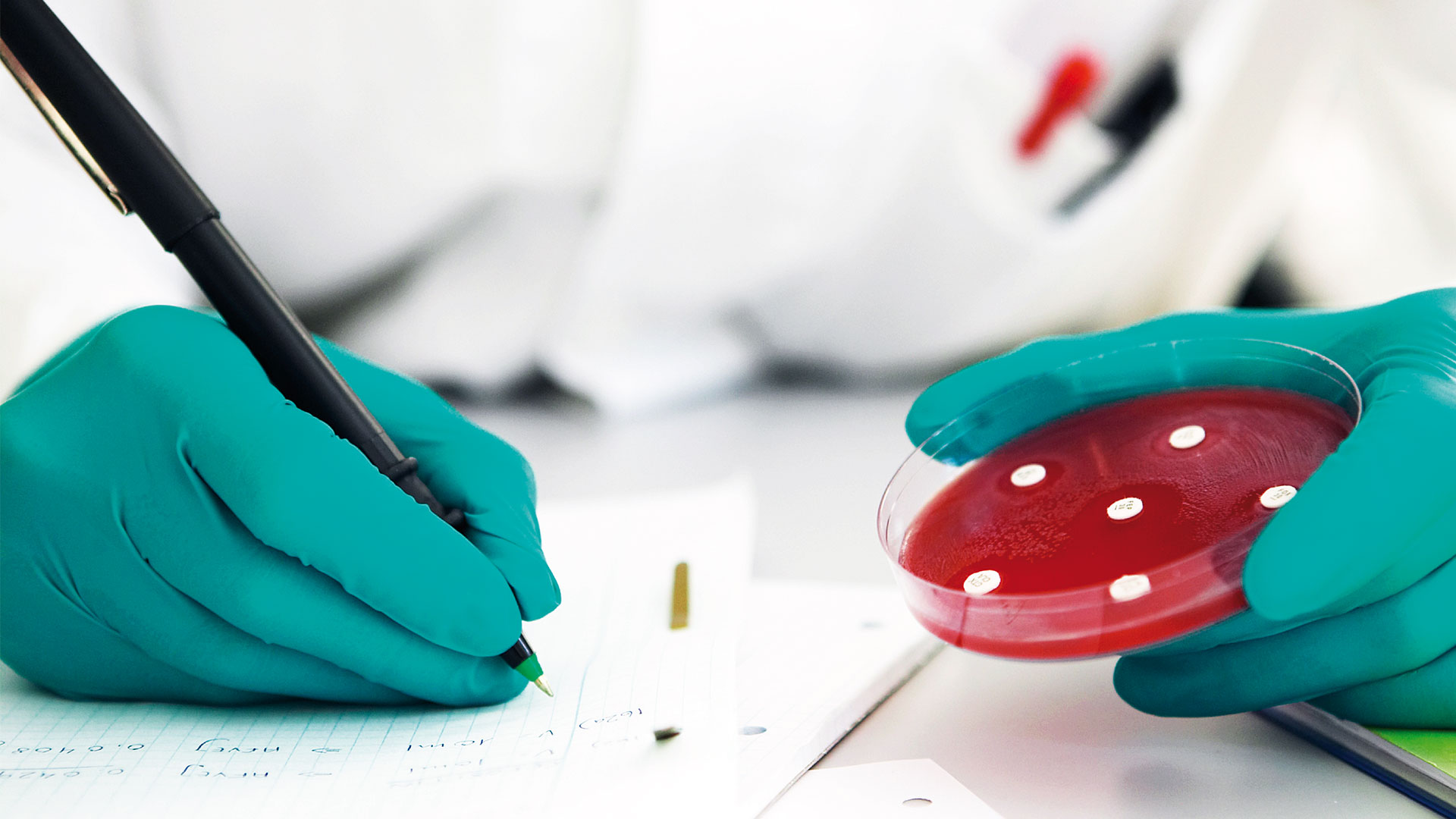 Food-Safety-DTU-National-Food-Institute-Photo-Mikkel-Adsbøl