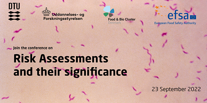 Join the conference: Risk Assessments and their Significance - DTU ...