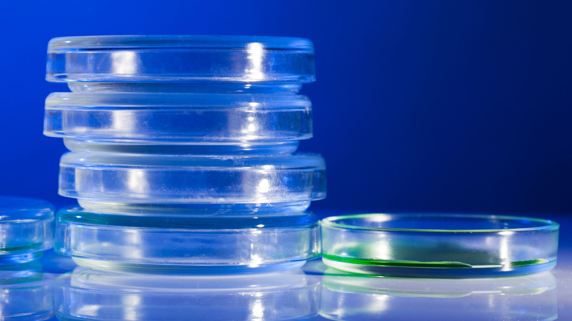 Petri-dish