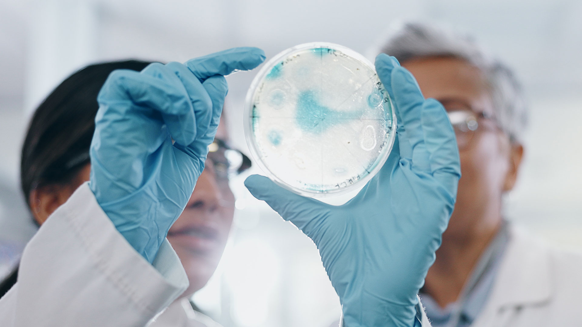 Lab Research