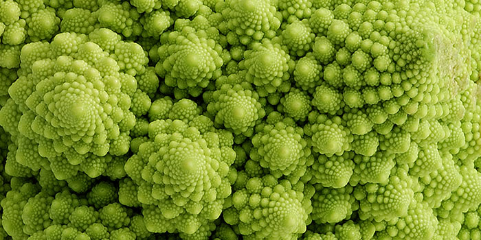 DK: Romanescokål. Foto: Colourbox | EN: Romanesco cabbage. Photo: Colourbox
