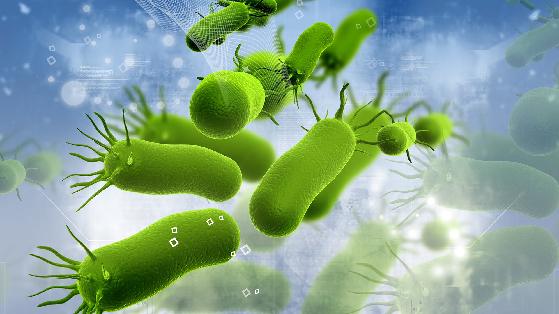 Summer course at DTU on antimicrobial resistance