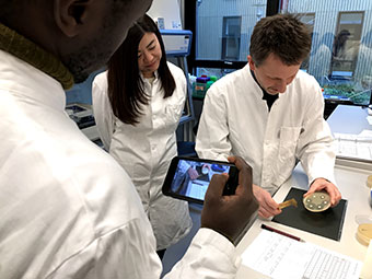 Demonstration af påvisning af antibiotikaresistens i laboratorium. Foto: DTU Fødevareinstituttet